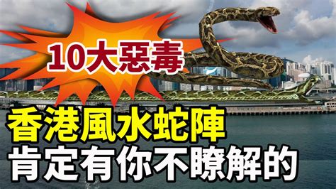 香港蛇風水
